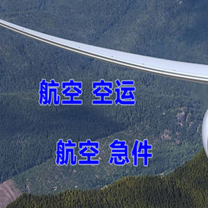 陇南成县航空货运快递-选东方航空和上海航空