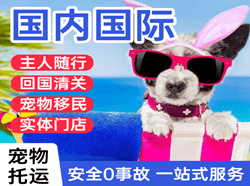 陇南成县航空货运国际宠物托运 【国